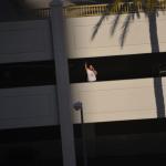 Laughlin_0124 (April 22, 2013)